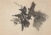 切換圖片按鈕圖示
