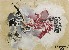 切換圖片按鈕圖示