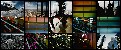 切換圖片按鈕圖示