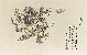 切換圖片按鈕圖示
