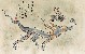 切換圖片按鈕圖示