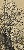 切換圖片按鈕圖示