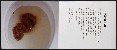 切換圖片按鈕圖示