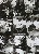 切換圖片按鈕圖示