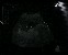 切換圖片按鈕圖示