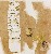切換圖片按鈕圖示