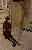 切換圖片按鈕圖示