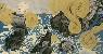 切換圖片按鈕圖示