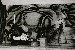 切換圖片按鈕圖示