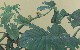 切換圖片按鈕圖示