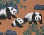 切換圖片按鈕圖示