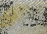 切換圖片按鈕圖示