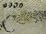 切換圖片按鈕圖示