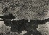 切換圖片按鈕圖示