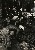 切換圖片按鈕圖示