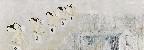 切換圖片按鈕圖示
