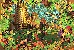 切換圖片按鈕圖示
