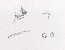 切換圖片按鈕圖示