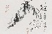 切換圖片按鈕圖示