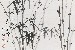 切換圖片按鈕圖示
