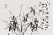 切換圖片按鈕圖示