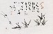 切換圖片按鈕圖示