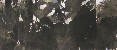 切換圖片按鈕圖示