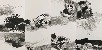切換圖片按鈕圖示