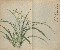 切換圖片按鈕圖示