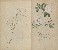 切換圖片按鈕圖示