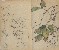 切換圖片按鈕圖示