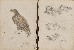 切換圖片按鈕圖示
