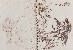 切換圖片按鈕圖示
