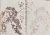 切換圖片按鈕圖示