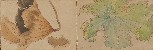 切換圖片按鈕圖示