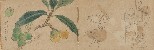 切換圖片按鈕圖示