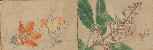 切換圖片按鈕圖示