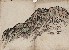 切換圖片按鈕圖示