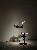 切換圖片按鈕圖示