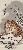 切換圖片按鈕圖示
