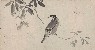 切換圖片按鈕圖示