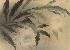 切換圖片按鈕圖示
