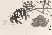 切換圖片按鈕圖示