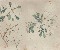 切換圖片按鈕圖示