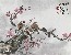 切換圖片按鈕圖示