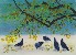 切換圖片按鈕圖示