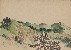 切換圖片按鈕圖示