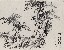 切換圖片按鈕圖示