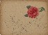 切換圖片按鈕圖示