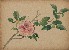 切換圖片按鈕圖示